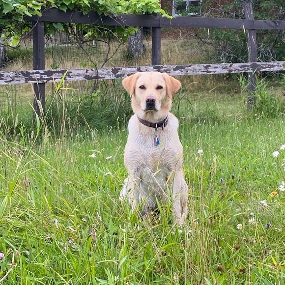 Meet your Posher, Margaret - Picture 5 of 5